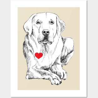 love a Labrador Posters and Art